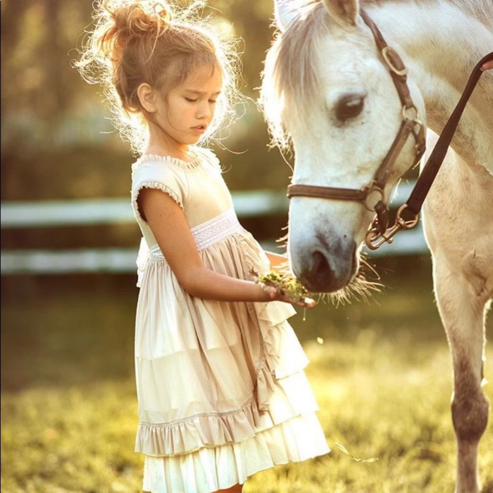 Mustard Pie holiday Dress size 6